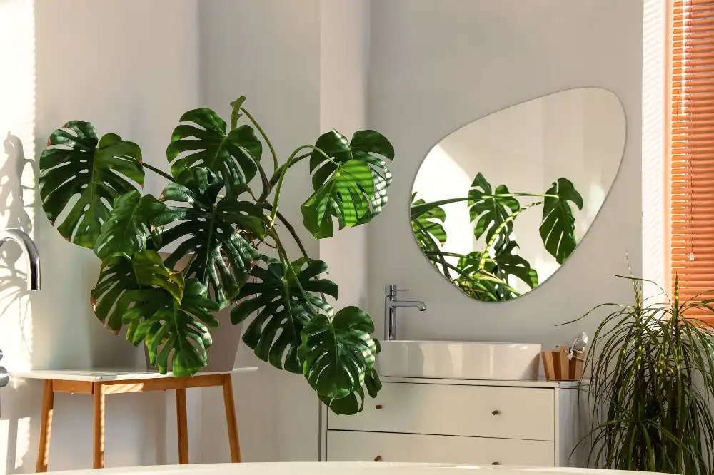 Organic mirror decorative wall