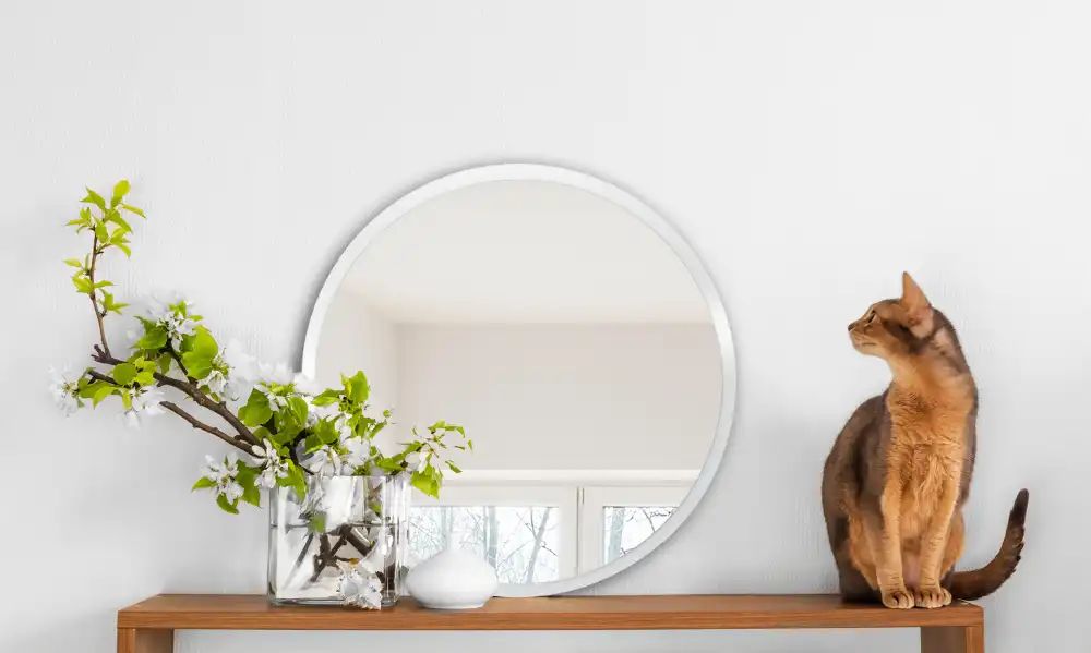 Round mirror hanging in a white frame