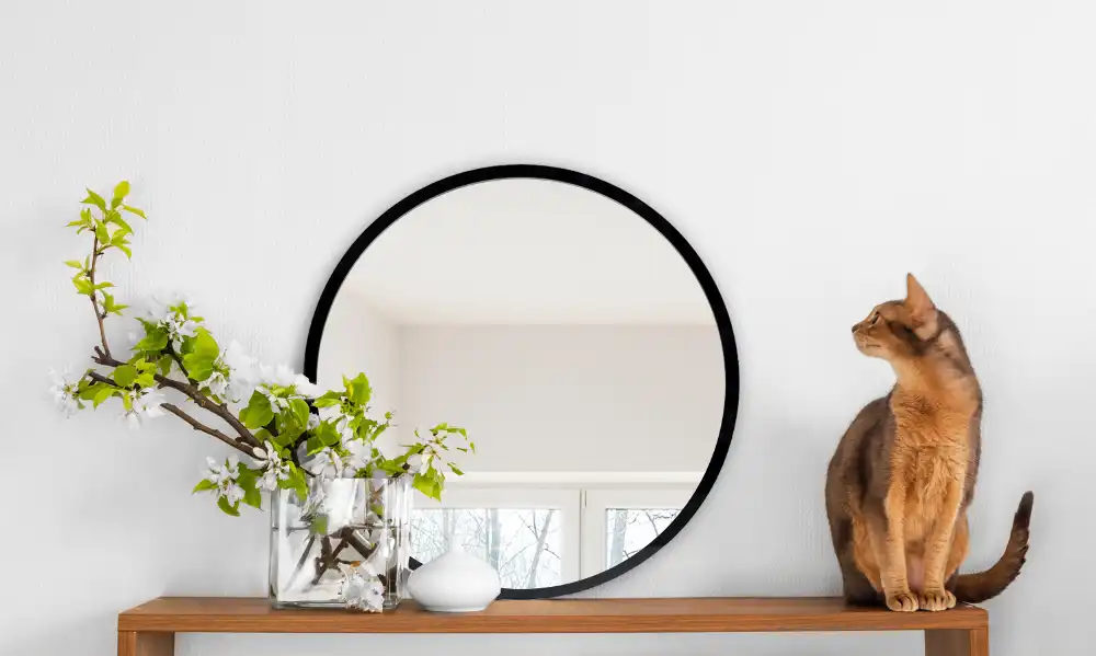 Round mirror hanging in a black frame