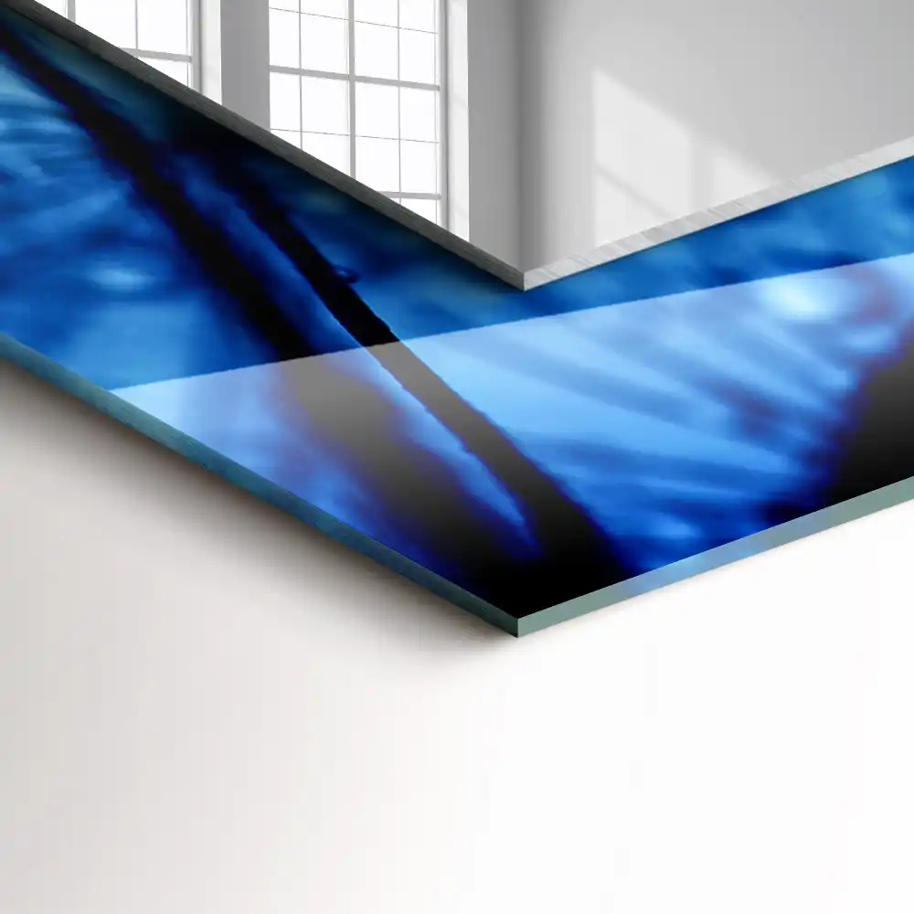 Rectangular mirror print Drops on dandelions