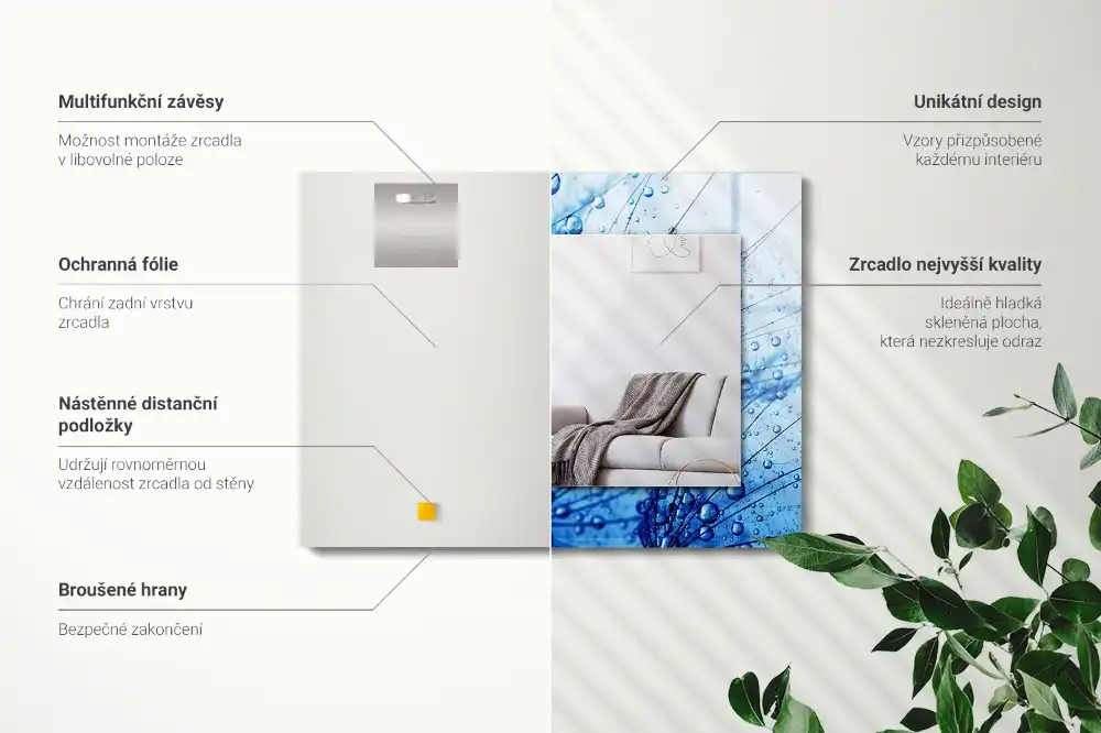 Rectangular mirror print Drops on dandelions