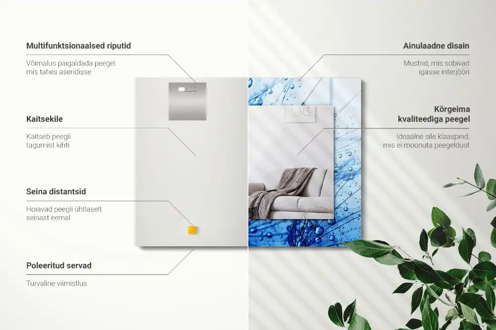 Rectangular mirror print Drops on dandelions