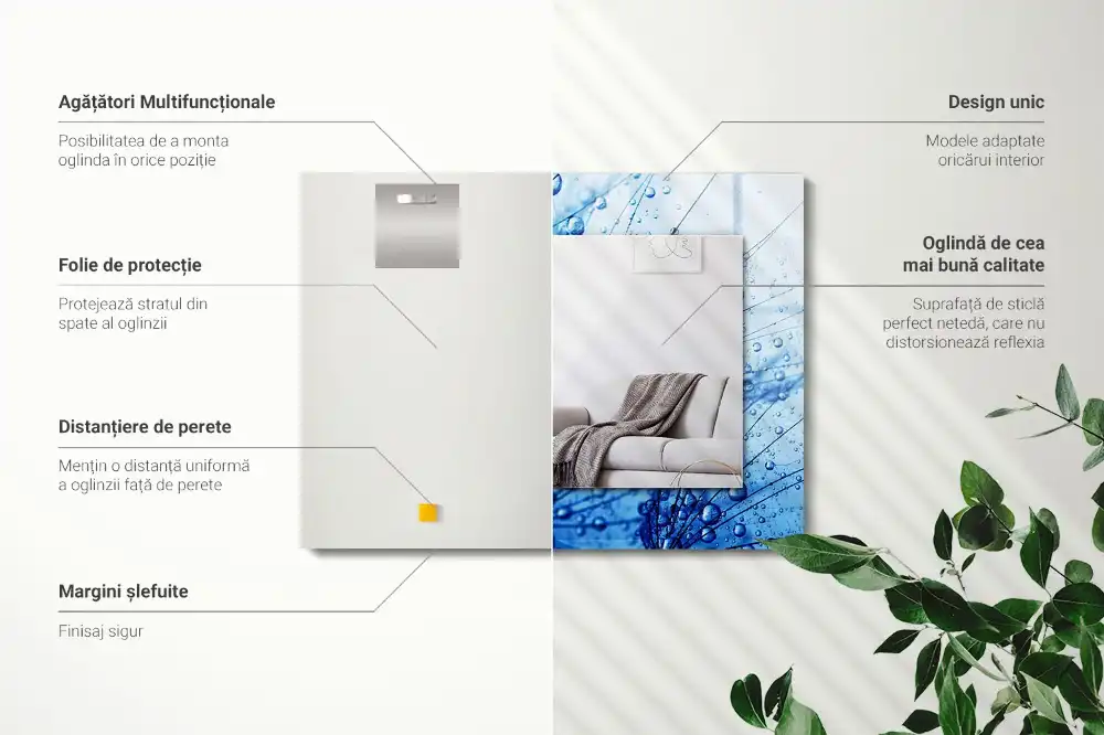 Rectangular mirror print Drops on dandelions