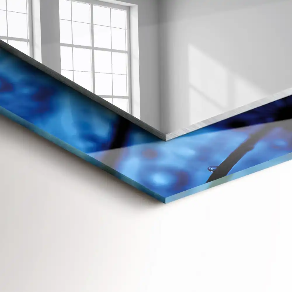 Rectangular mirror print Drops on dandelions