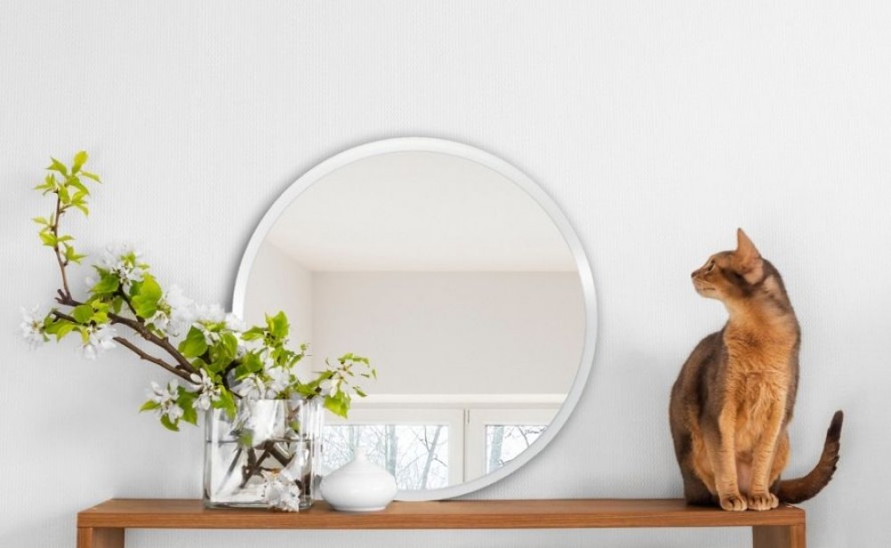 Where to hang the mirror